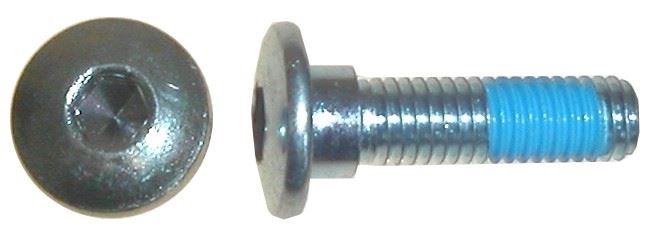 Bolts Disc Allen 8mm x 30mm Kawasaki Rear Discs (pitch 1.25mm) (Per 10)