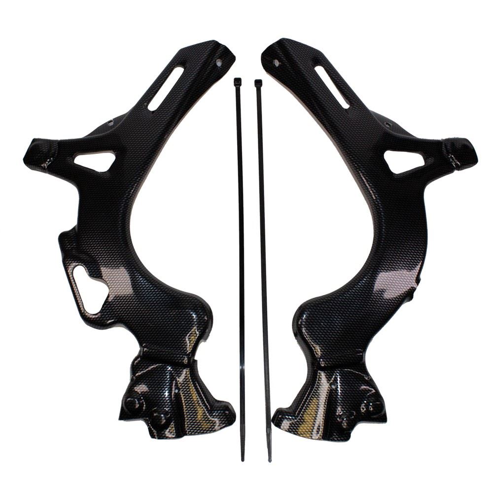 Frame Guards (Carbon) For BETA EVO 09-17