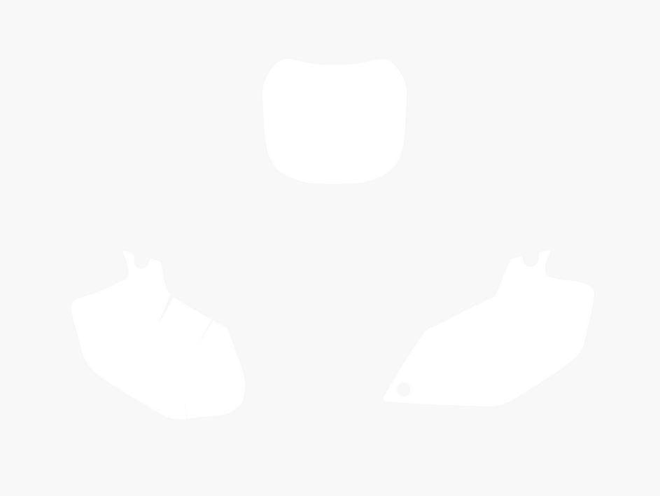 WHITE BACKGROUNDS YAMAHA YZ-F 250/450 2003-2005