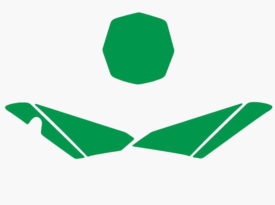 GREEN BACKGROUNDS HUSQVARNA TC449 2011-2013