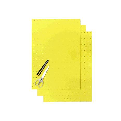 PK/3 BLACKBIRD YELLOW THICK TRANSPIRING