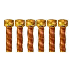 8x30 GOLD PACK/6 ALLOY