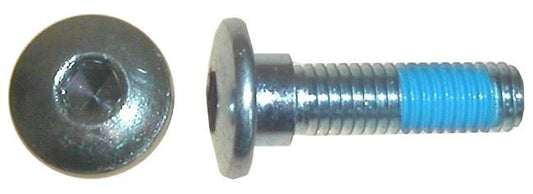 Bolts Disc Allen 8mm x 30mm Kawasaki Rear Discs (pitch 1.25mm) (Per 10)