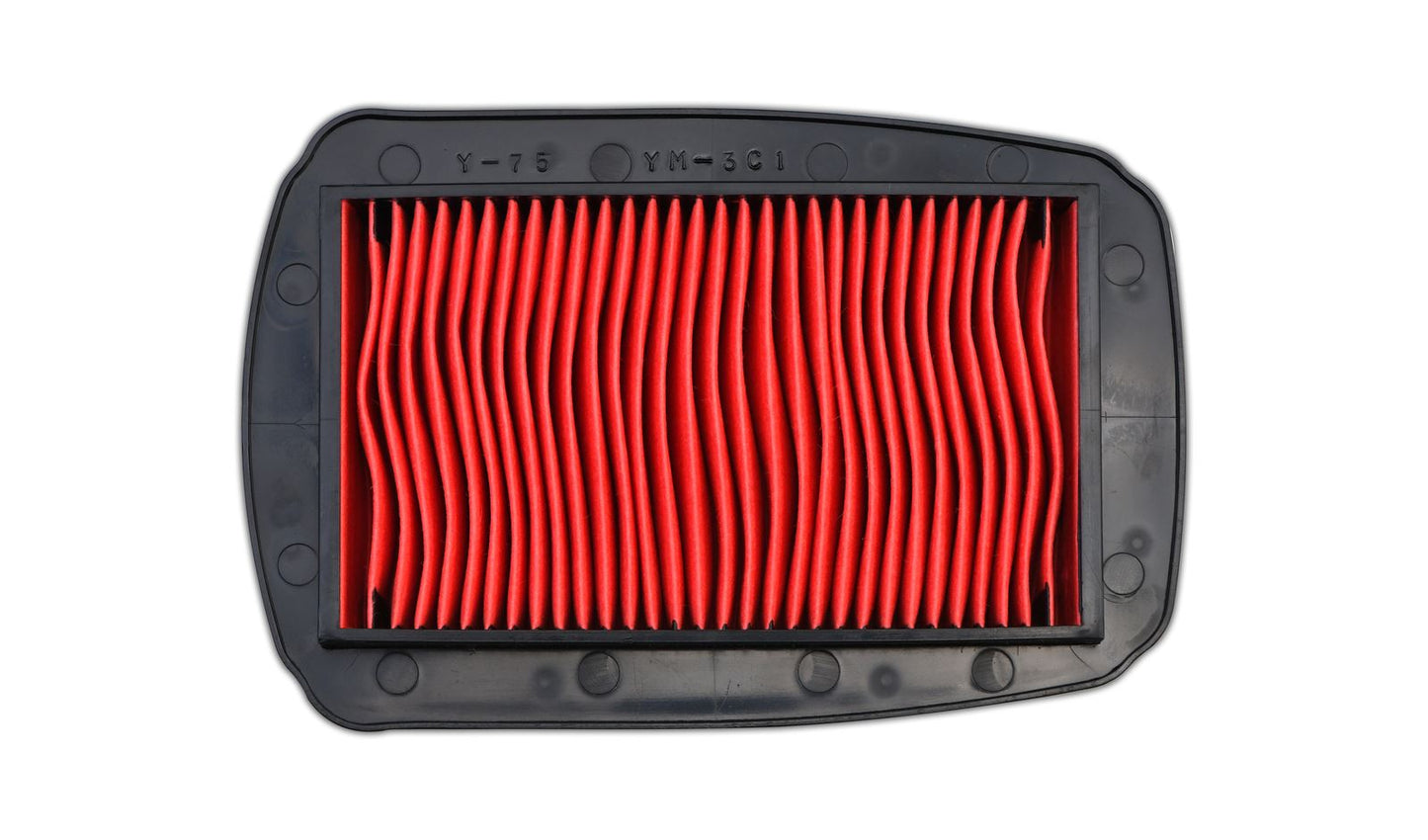 Air Filter Yamaha YZF125R 08-18 WR125 09-17, MT125 14-