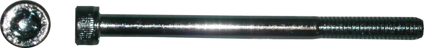 Screws Allen 6mm x 100mm(Pitch 1.00mm) (Per 20)