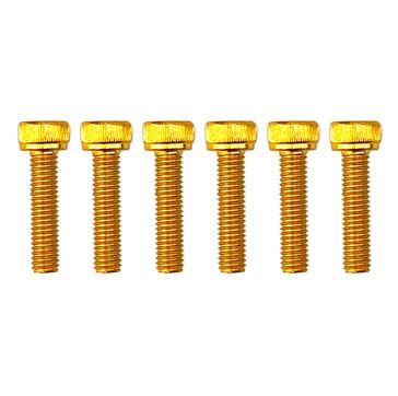 5x20 GOLD PACK/6 ALLOY