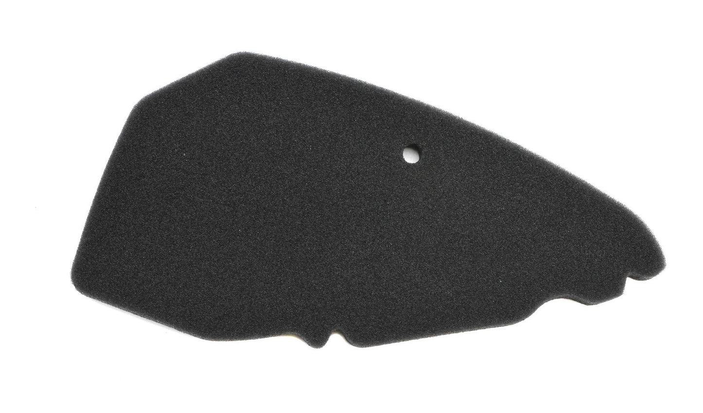Athena Air Filter Derbi Atlantis 50 04-07, Piaggio Free 50 92-02 HFA5206