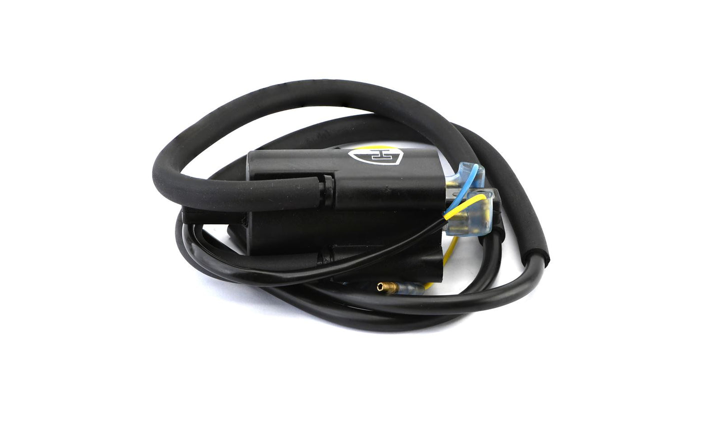 Ignition Coil 12v Points Twin Lead Boyer Bransden Style (100mm Centres) P:4.3 Ohms S:18.7 kOhms