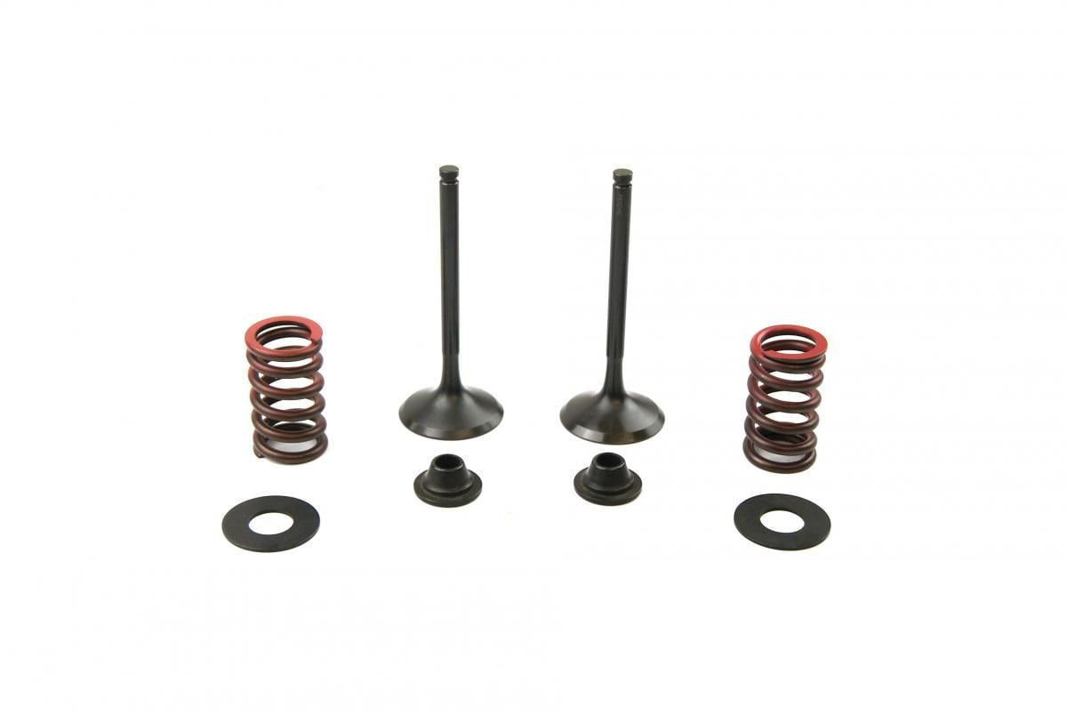 PSYCHIC EXHAUST VALVE+SPRING KIT KAWASAKI KX450F 2009-2018
