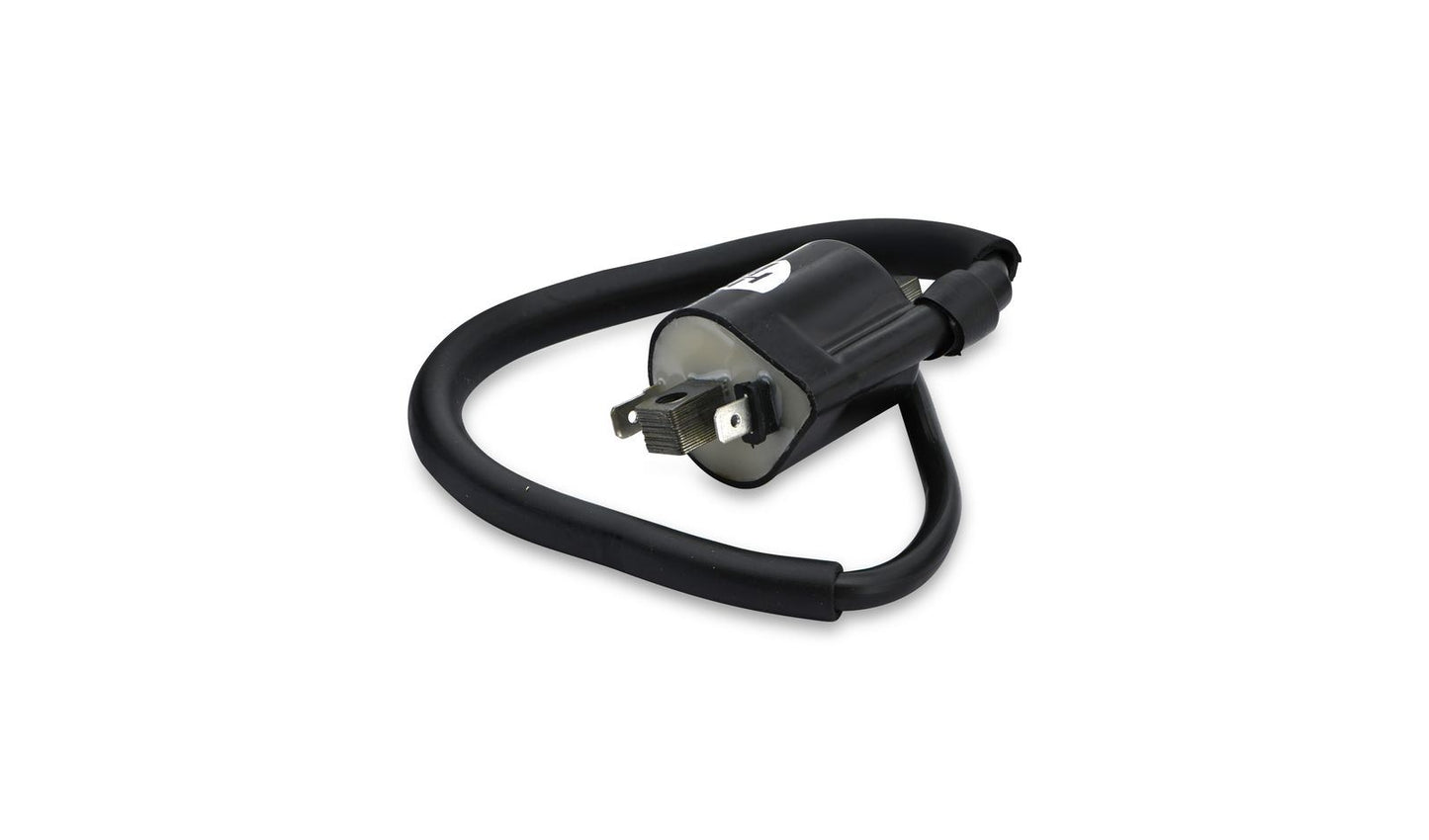 Ignition Coil 6v,12v CDI Single 2 Spade Terminal(55mm)