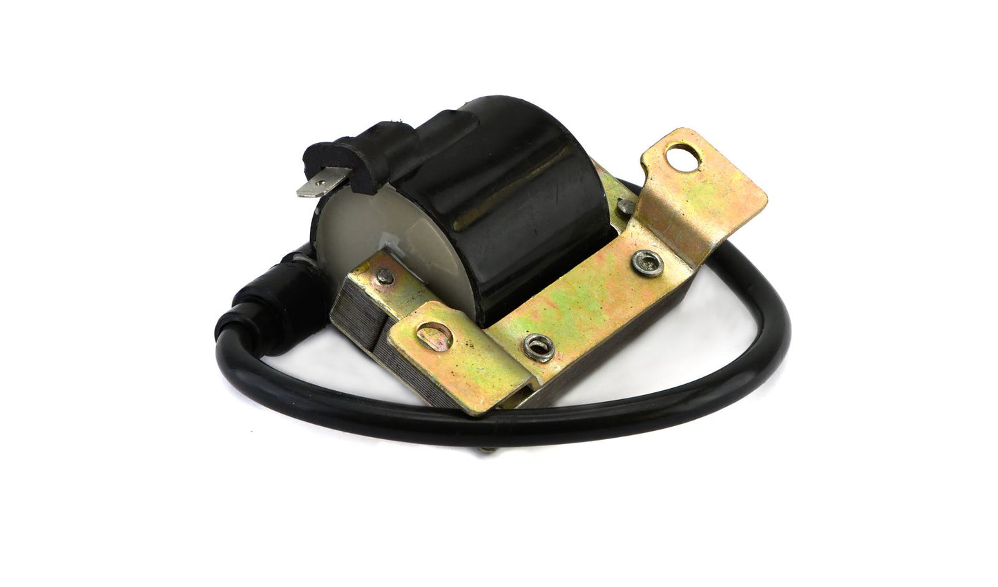 Ignition Coil 6v AC Single 2 Bullets (70mm Centres) (P:0.86Oh, S: 5.85KOh)