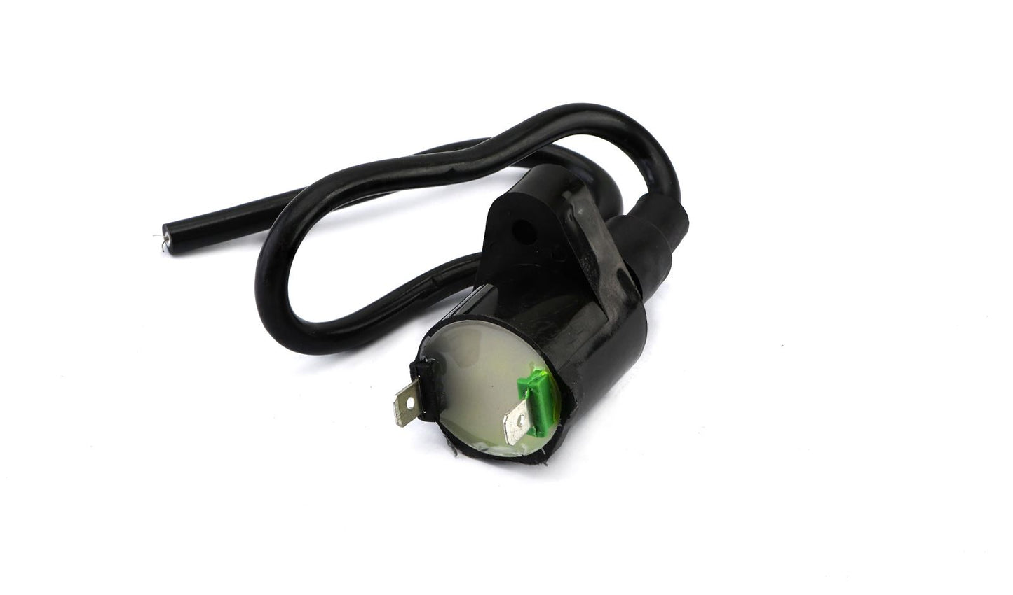 Ignition Coil 6v,12v CDI Single 2 Spades 1869968
