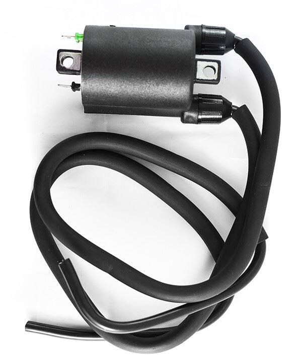 Ignition Coil 12v CDI Twin Lead 2 Terminal CBR1100XX Screw On Leads (80mm Centres) (P: 2.55Oh, S: 23.20KOh)