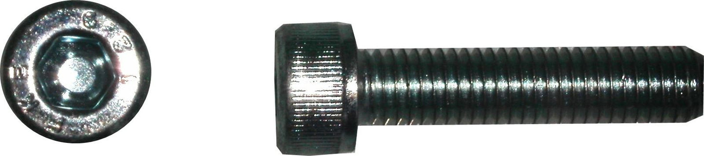 Screws Allen 8mm x 20mm(Pitch 1.25mm) (Per 20)
