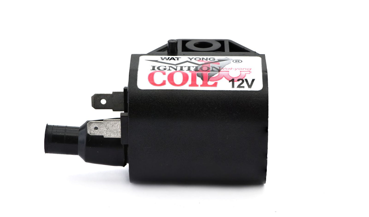 Ignition Coil 12v CDI Single Lead 2 Spade Single Mount With Built in CDI