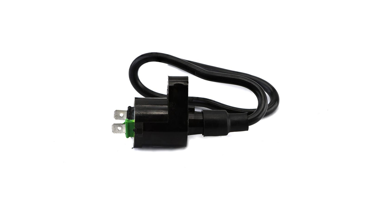 Ignition Coil 6v,12v CDI Single 2 Spades 1869968