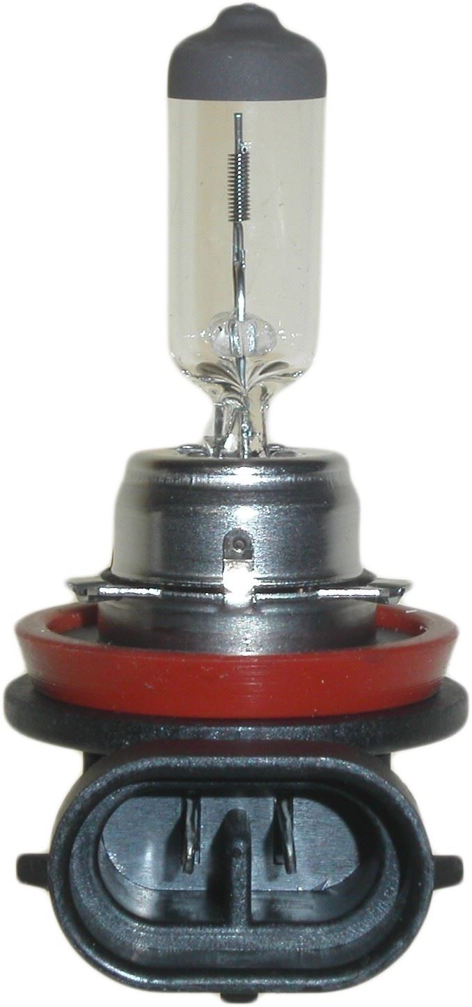 Moto Bulb 12v H11 12v 55w