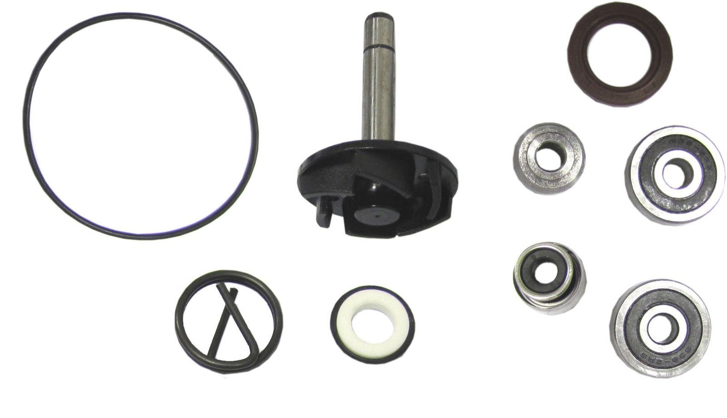Water Pump Repair Kit Piaggio RST250 04-05