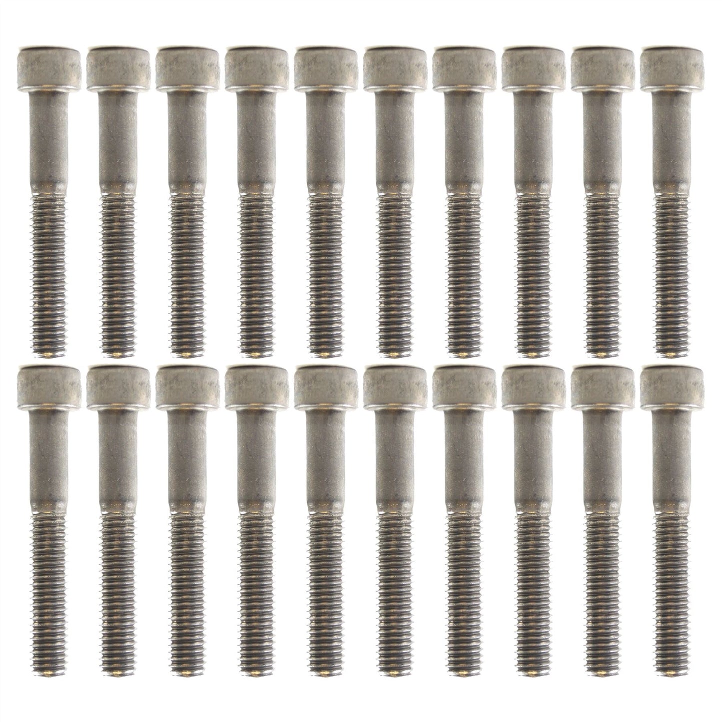 PK/20 M6x50 SS ALLEN CAP STAINLESS STEEL SCREW