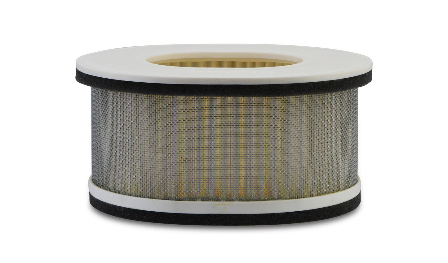 Air Filter Yamaha FZS1000 Fazer 01-05 (Carb Model)