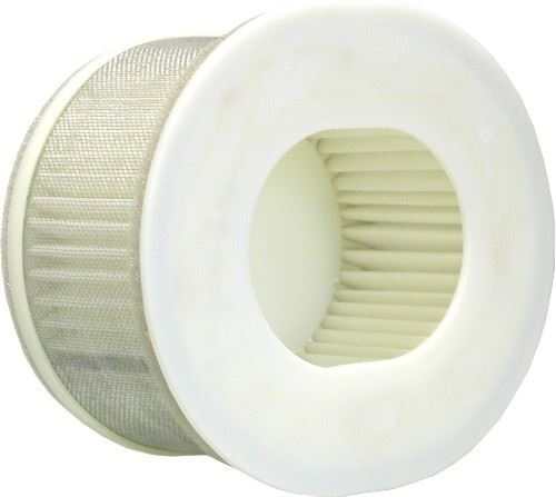 Air Filter Yamaha FZS1000 Fazer 01-05 (Carb Model)