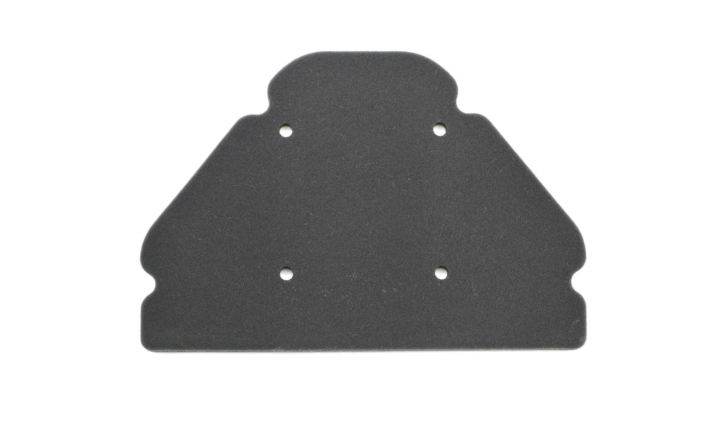 Air Filter Kawasaki ZX9-R (ZX900C1-2,E1-2,F1P-F2P) 98-03
