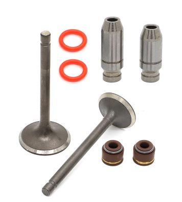 VALVE SET + SEALS and GUIDES YAMAHA TT-R125 2000-2016