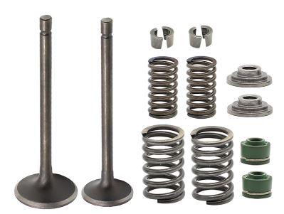 VALVE SPRING & SEAL REPAIR KIT HONDA XR200R 81-91, XL185S 79-83, ATC200 81-86