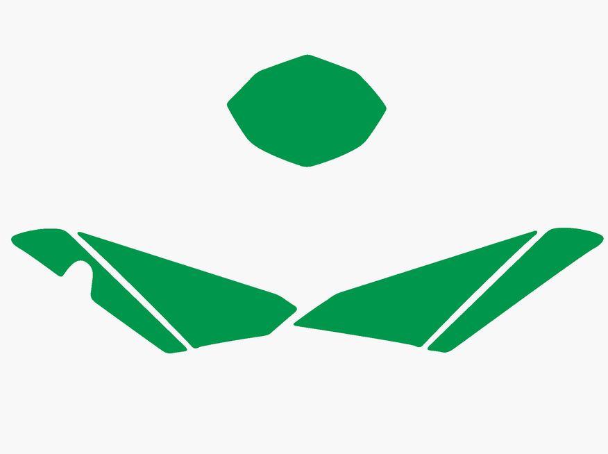 GREEN BACKGROUNDS HUSQVARNA TE449/511 201-2013