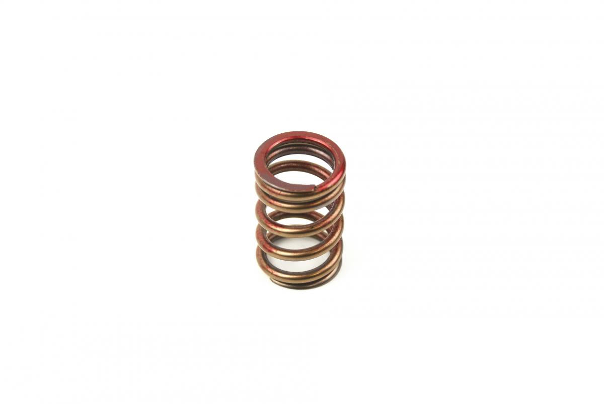 EXHAUST VALVE SPRING SUZUKI RM-Z 450 2005-2007, LT-R 450 2006-2009