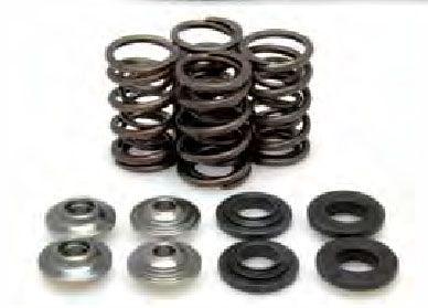 KIBBLEWHITE VALVE SPRING KIT RACING LIGHT KTM SX-F250 2005-2007