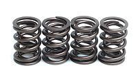 KIBBLEWHITE VALVE SPRING SET ROTAX 500/600