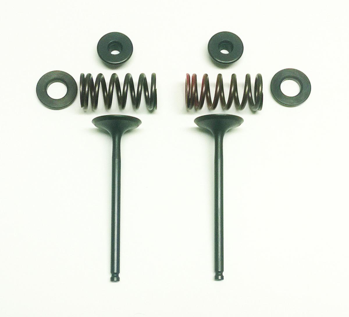PSYCHIC EXHAUST VALVE+SPRING KIT YAMAHA WR250F 2001-2009