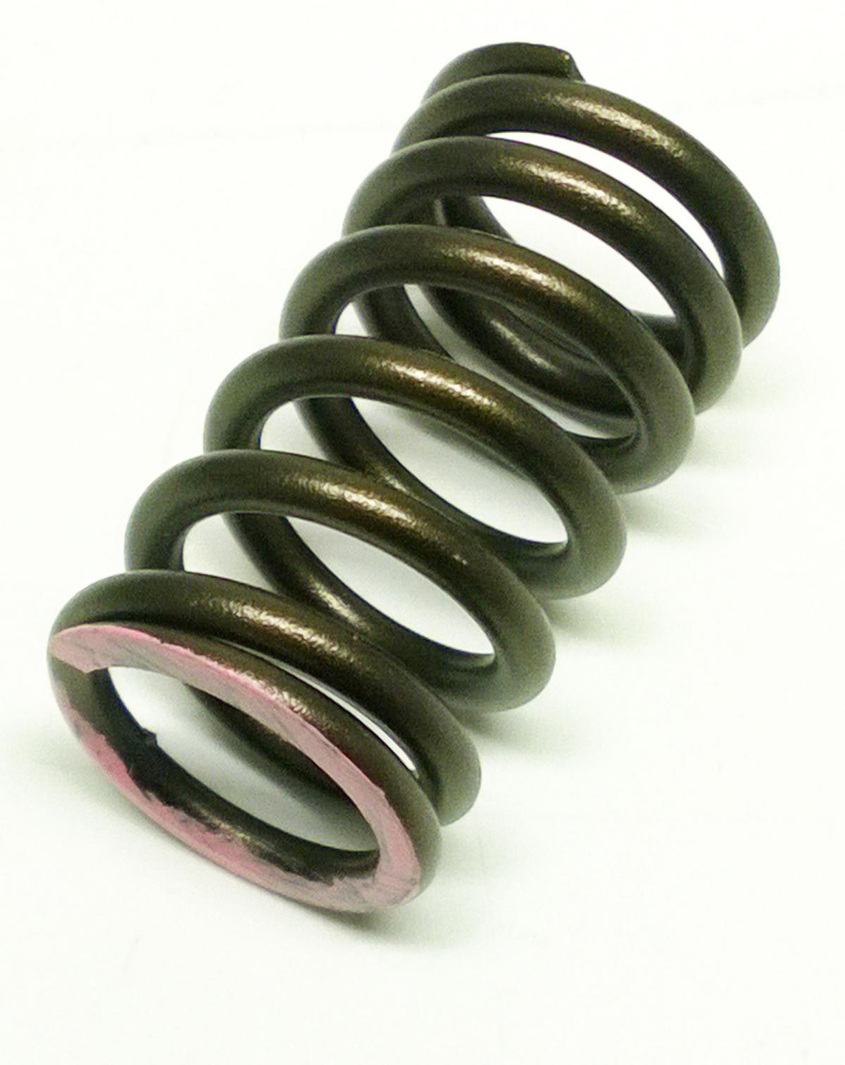 PSYCHIC EXHAUST VALVE SPRING HONDA CRF250R 2018-2021, CRF250RX 2019-2021